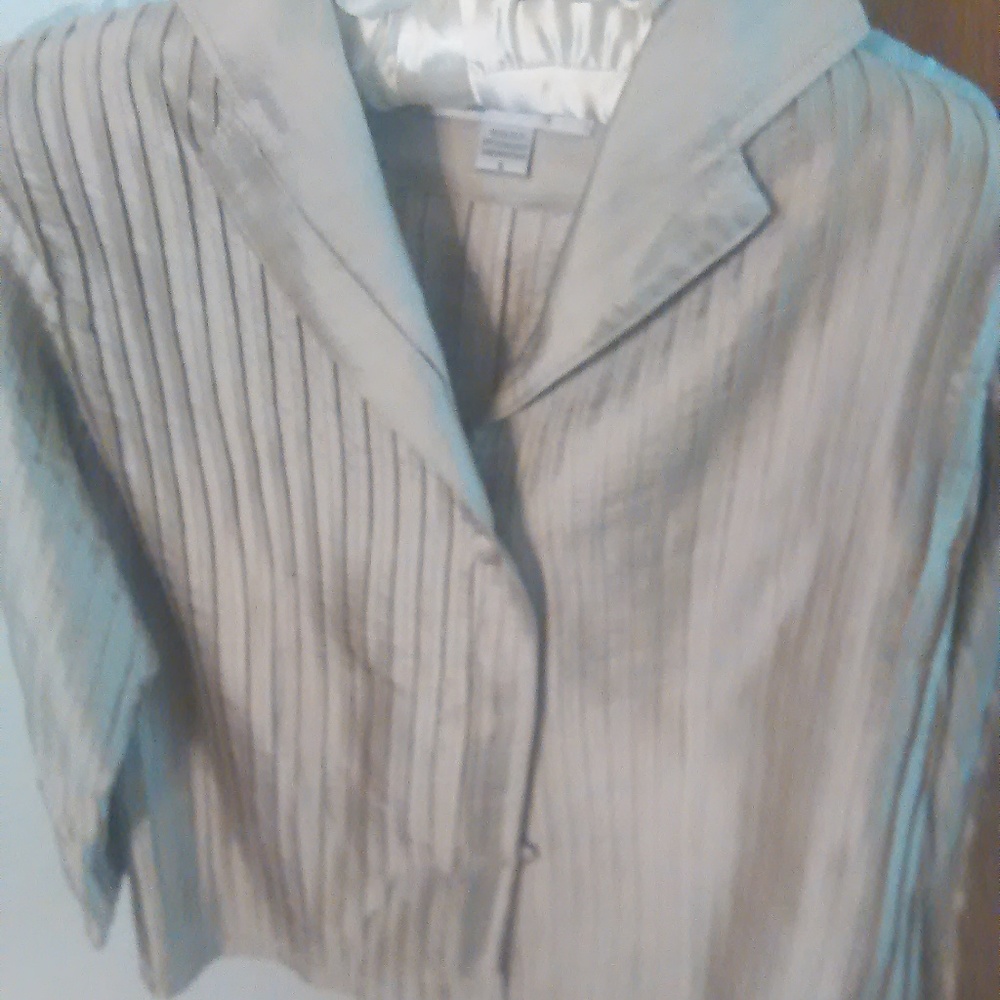 Indo Chic 100% Silk 3/4 Sleeve Pleated Blouse (S)